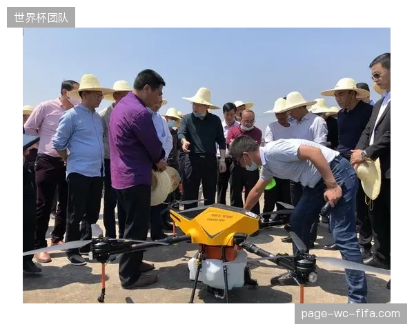 结构优化周期监管协作方完善观赛体验系统版权保护机制